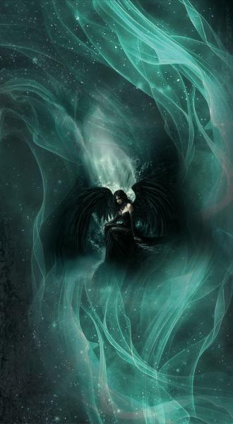 Schwingen der Dämmerung - Kunstleder Portmoneepanel